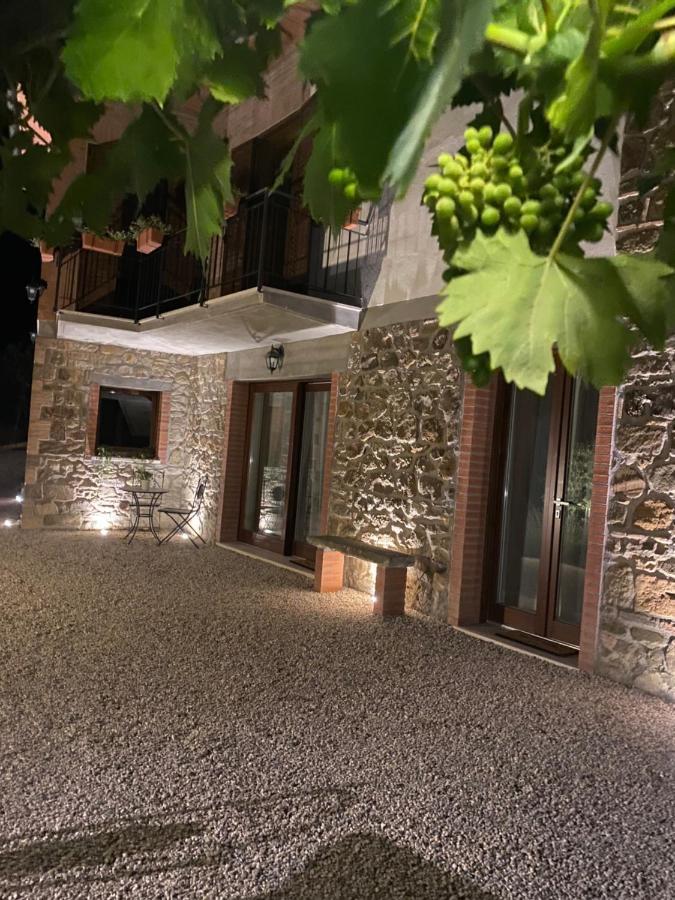 Podere Belsogno Montalcino Dış mekan fotoğraf