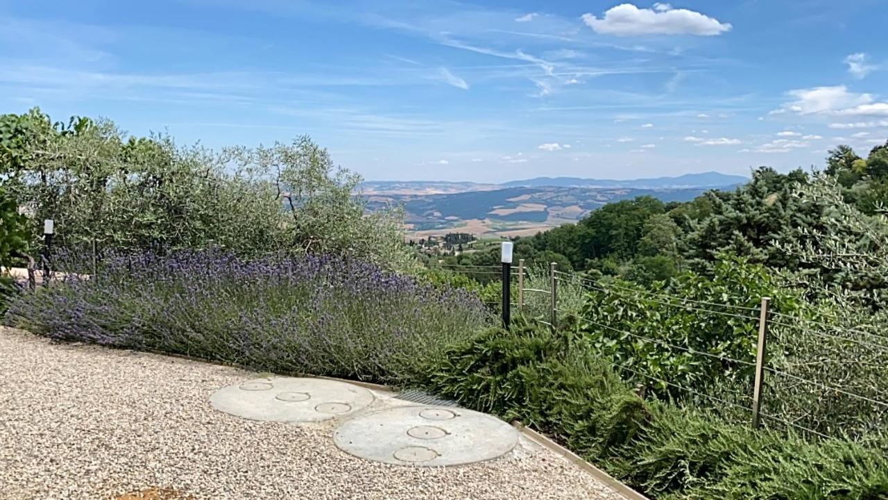 Podere Belsogno Montalcino Dış mekan fotoğraf