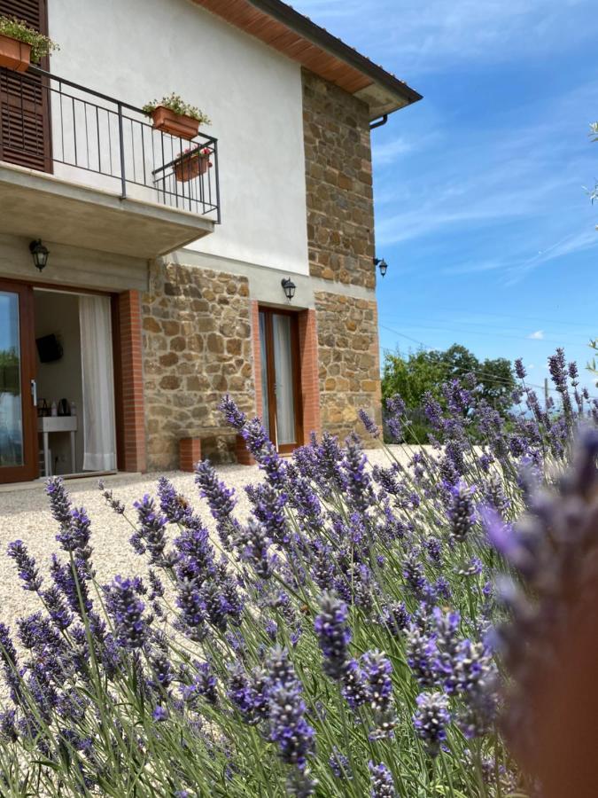Podere Belsogno Montalcino Dış mekan fotoğraf