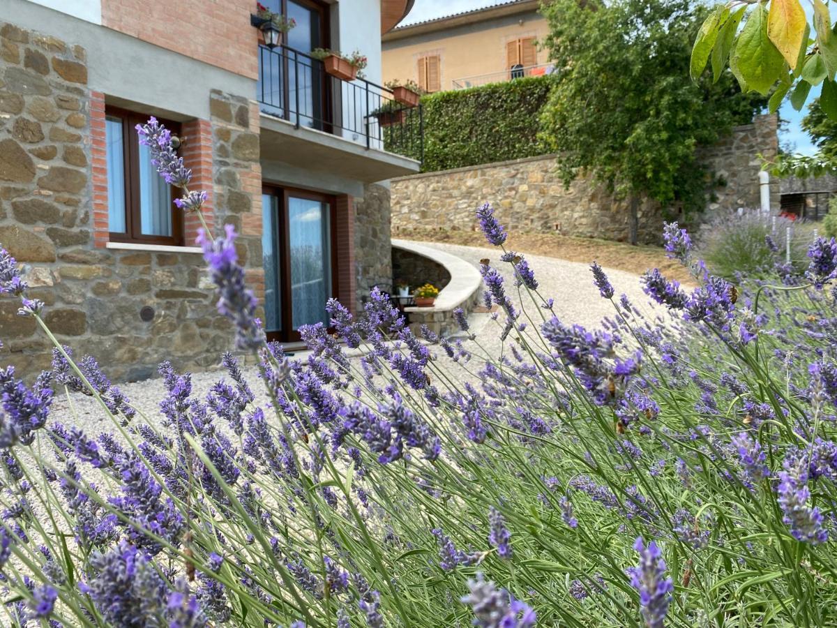 Podere Belsogno Montalcino Dış mekan fotoğraf