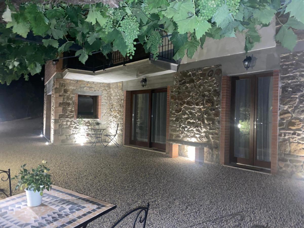 Podere Belsogno Montalcino Dış mekan fotoğraf