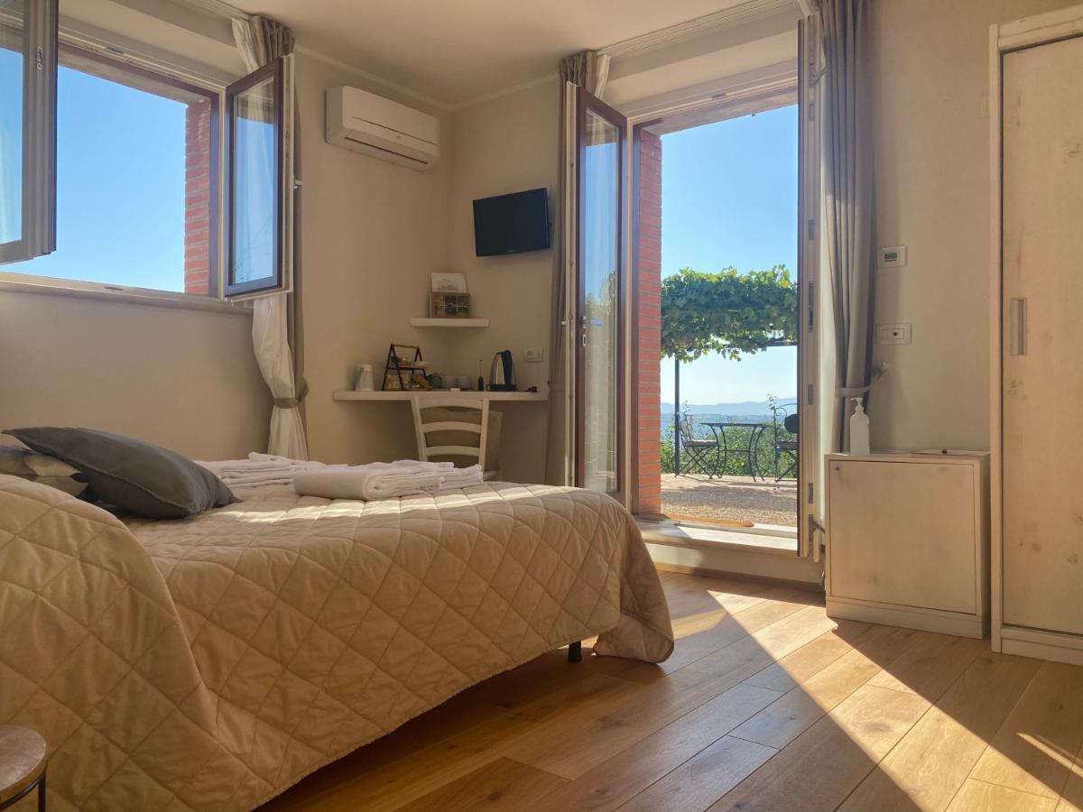 Podere Belsogno Montalcino Dış mekan fotoğraf