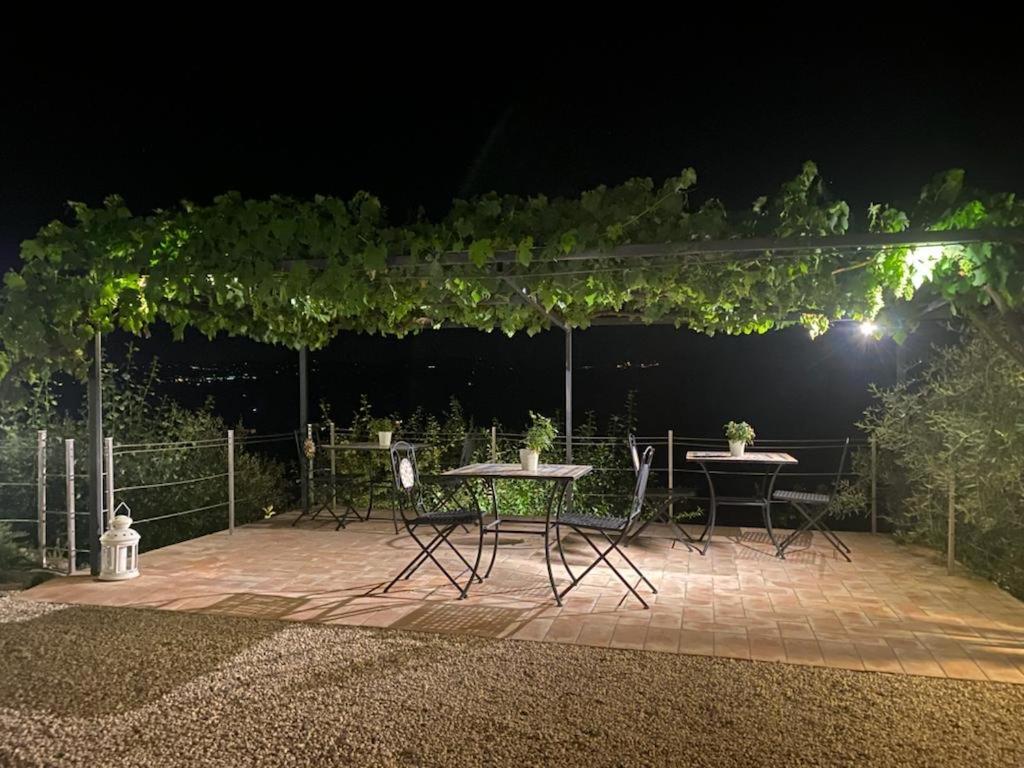 Podere Belsogno Montalcino Dış mekan fotoğraf